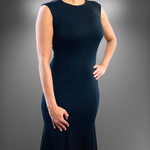 Ann Taylor Dresses & Skirts - ANN TAYLOR petite formal midi dress in black
